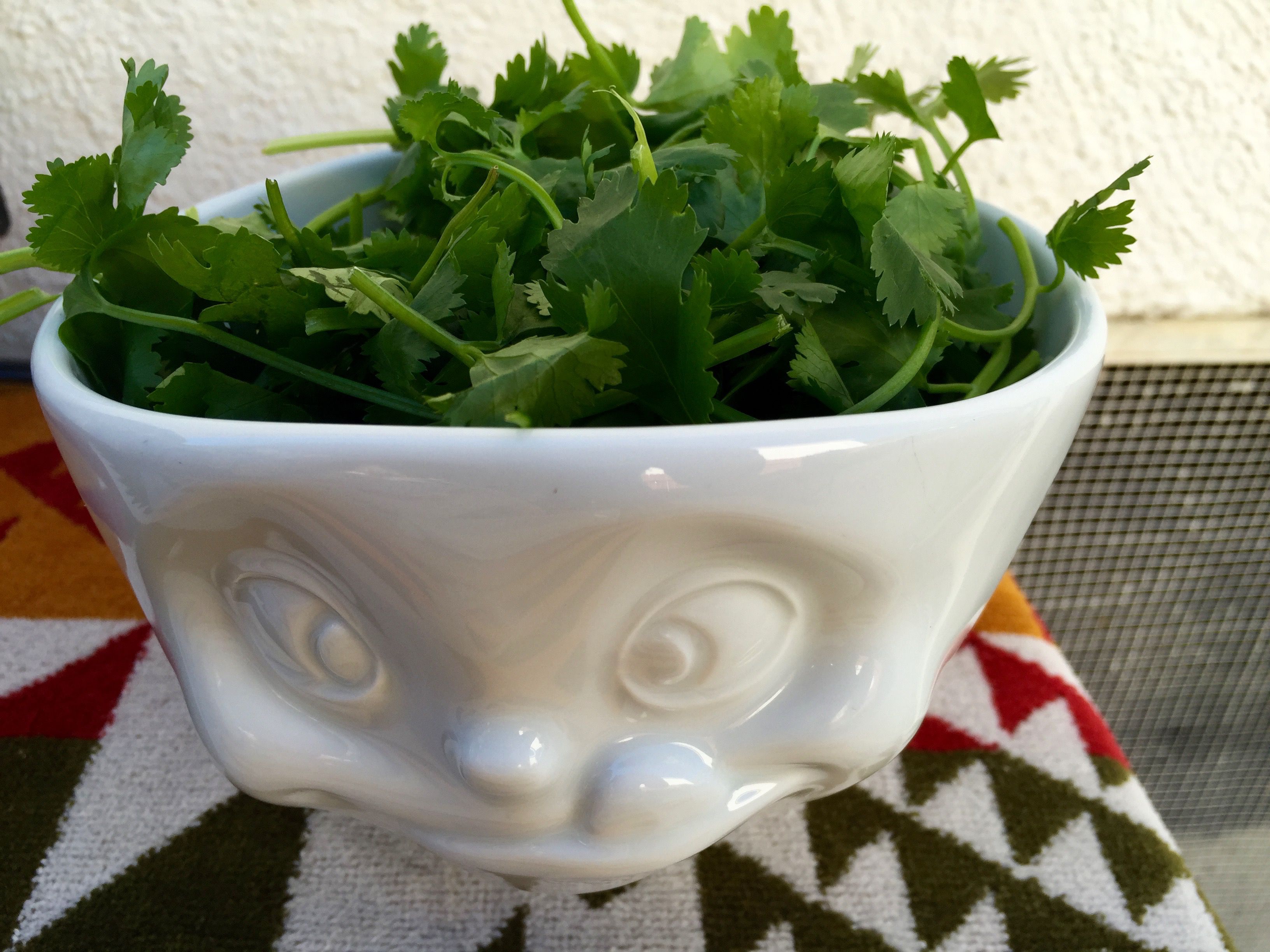 3. In a small bowl, mix the lamb – in small portions at a time – with the marinade, then refrigerate in a non-reactive bowl or zip-lock bag for 4 hours, or over night.