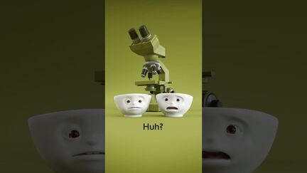dphpgU5lQsQ-HD.jpg