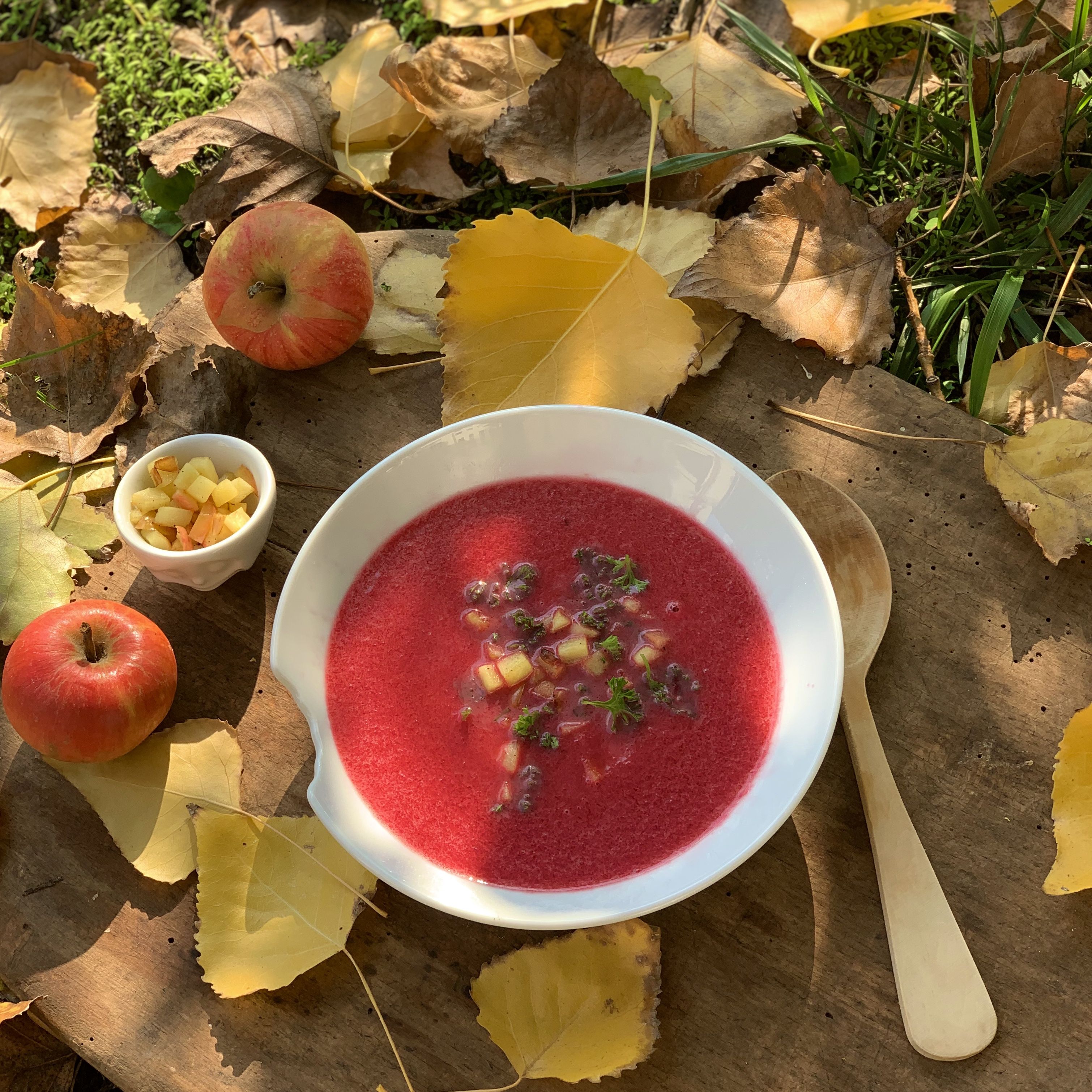 Red beets have ruled for centuries: First reports of their medicinal properties date back 2500 years to Hippocrates and they were considered an ailment for blood diseases in the Middle Ages. One hundred years ago, doctors prescribed them for fatigue. And rightly so, because beets are packed with vitamins and secondary plant nutrients that play an important role in cancer prevention.